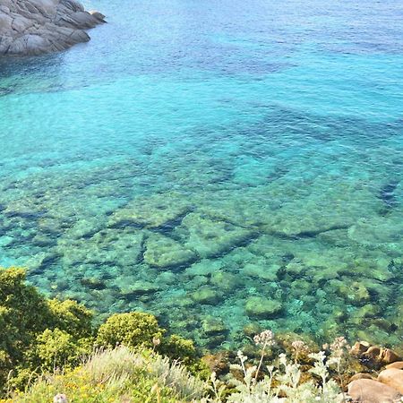 Residence Frontemare Santa Teresa Gallura Kültér fotó