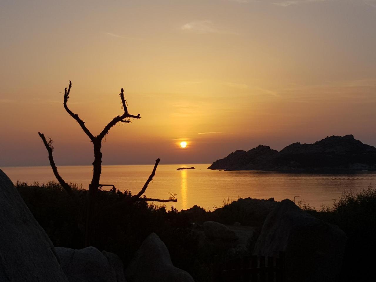 Residence Frontemare Santa Teresa Gallura Kültér fotó